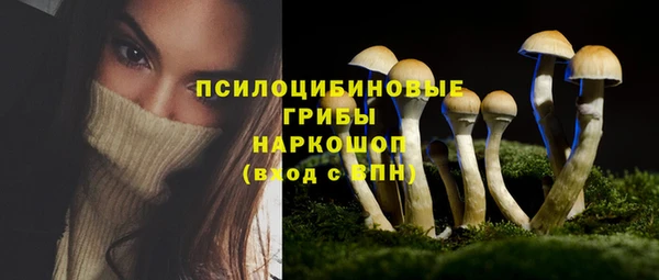 метадон Белокуриха
