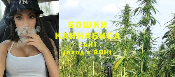 метадон Белокуриха